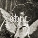 Evil Bass Mixes