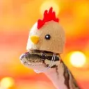Snek's Den United