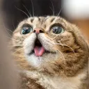 Catpeople