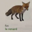 The Great Fox Spaceship