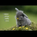 The Bunny League