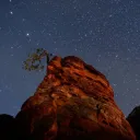 NightMoon Park