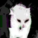 ⪻𝕽𝖔𝖇𝖆 𝓃𝑜𝓈𝓉𝓇𝒶⪼