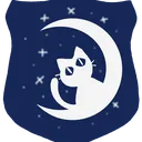 Moonlit Black Cats