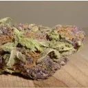 Stoners