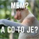 Memownia