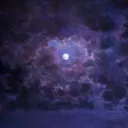 Bot Testing