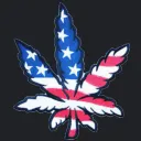 Dankk Budz Collective