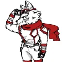 Rocketiers