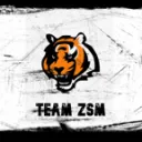 TEAM ZSM