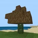 The Forest