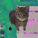 kayosu