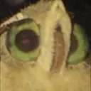 456