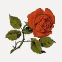 Garden of Roses 18+