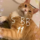 S BB11