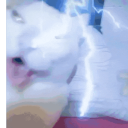 MeguScuad Discord Server Icon