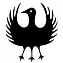discord server