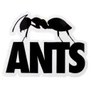 Team_AnT