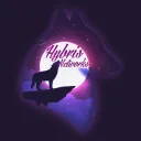 Hybris Networks 16