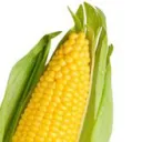 Corn!