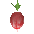 Radishes