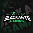 Black Ants Gaming