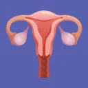 The Womb