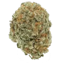 EveryBud.ca