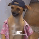 Moskitow e 199  inimigos do crow