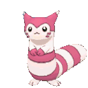 The Furret Squad