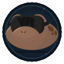 Toadily VR