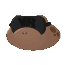 Toadily VR