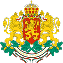 The Bulgarian Community Server Icon