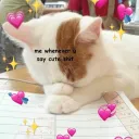 ~Daisuke Chat Room ★~(◡‿◡✿)~