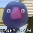 もず部屋