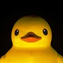 quackies's discord