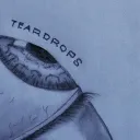 Teardrops SMT Certified Users