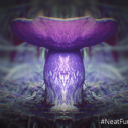 The Magic Mushroom Speaks icon