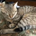 はるの部屋