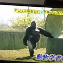 富山サファリパーク