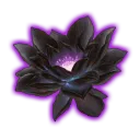 BlackLotus Teahouse