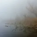 The Pond