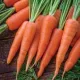 Carrots Community