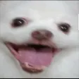 autochessbebe