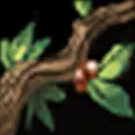 Teldrassil Sproutlings