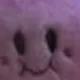 Poyo
