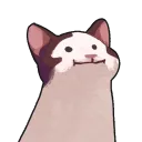 ᴄᴀᴍᴘᴏ ᴅɪ ᴍɪʀᴛᴏ