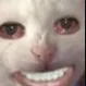 SlinkyBøiis