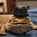 Croko's Kitchen Discord server icon