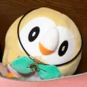 ドブ虫の巣